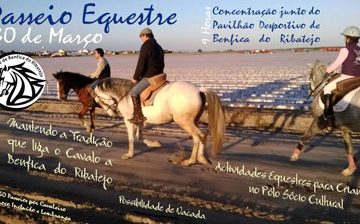 Passeio Equestre em Benfica do Ribatejo