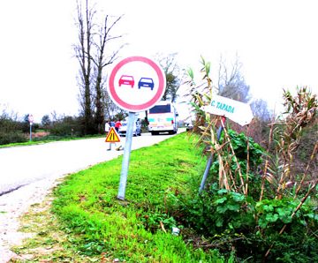 Acidente na estrada nacional 114