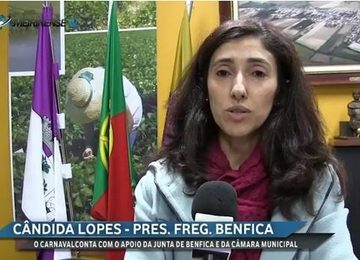 Junta Benfica continua a atribuir números de polícia Junta Benfica continua a atribuir números de polícia