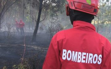 Incêndio em Paço dos Negros (VÍDEO)