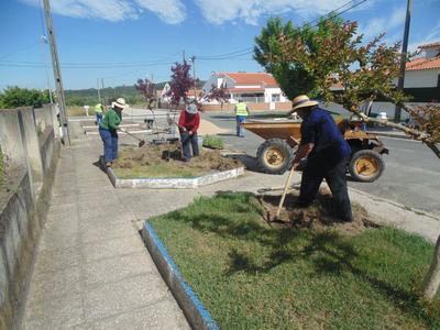 Junta da Raposa requalifica jardins Junta da Raposa requalifica jardins