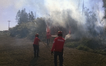 Incêndio rural em Benfica do Ribatejo Incêndio rural em Benfica do Ribatejo