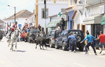 Ascensão na Chamusca com duas grandes corridas de toiros