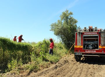 Incêndio à entrada de Almeirim