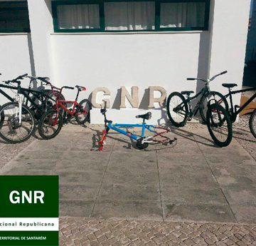 Ladrões das bicicletas soltos Ladrões das bicicletas soltos