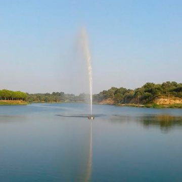Barragem dos Patudos a caminho da recuperação
