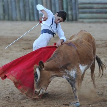 Diogo Peseiro participa em tenta