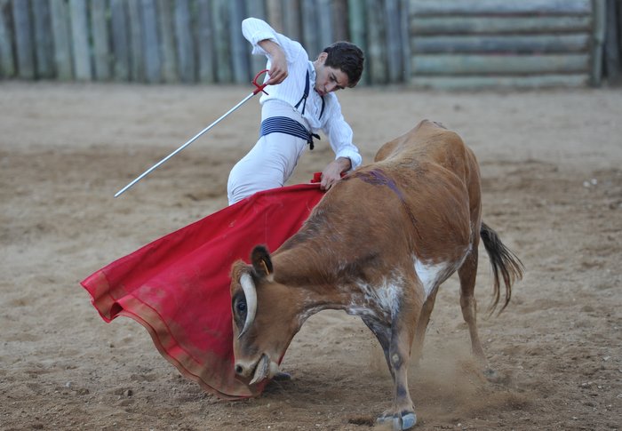 Almeirinense ovacionado em França Almeirinense ovacionado em França