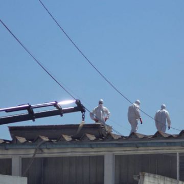 Crianças mais seguras nas escolas do concelho