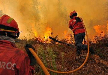 Incêndios em Portalegre mobilizam bombeiros do distrito de Santarém