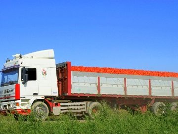 Camiões de tomate já podem transportar mais peso, mas…. Camiões de tomate já podem transportar mais peso, mas….