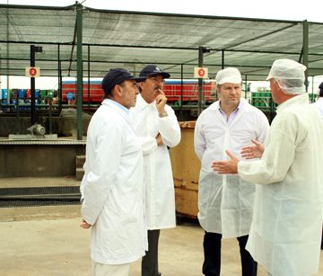 Lucros da Sumol+Compal duplicam em 2014