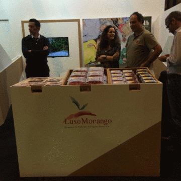 Produtores do Concelho em Madrid. Presidente da Câmara acompanha feira espanhola