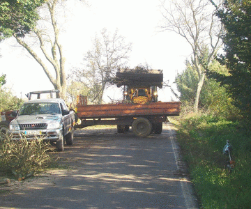 Estrada entre Alpiarça e Tapada recuperada