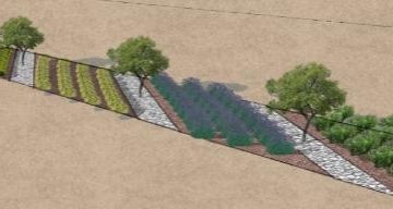 Já há projeto para Parque Laranjeiras