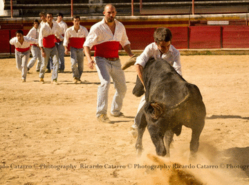 Francisco Borges “completamente apanhado de surpresa”