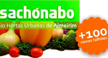 2ª Fase do SACHONABO dia 30 de janeiro
