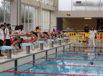 Nadadores de Almeirim fazem 35 pódios Nadadores de Almeirim fazem 35 pódios