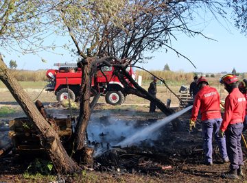 Bombeiros combatem chamas em Almeirim (VIDEO)