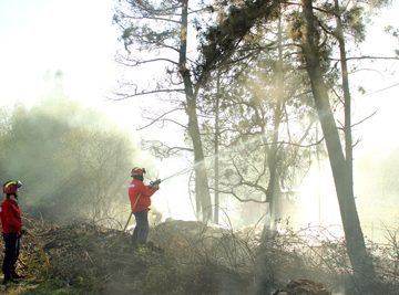 Incêndio em Foros de Benfica (VIDEO)