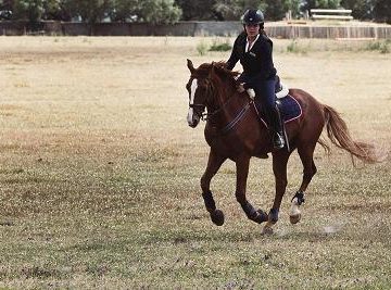 Almeirinense passa com distinção em concurso Completo de Equitação