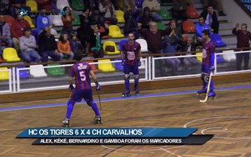 Taça de Portugal: Tigres defronta o Campo Ourique Taça de Portugal: Tigres defronta o Campo Ourique