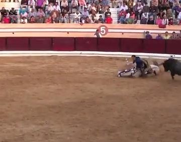 António D’Almeida colhido (VIDEO)
