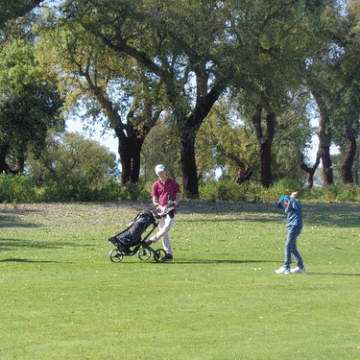 Aluno de Almeirim vence prova do Regional de Golf
