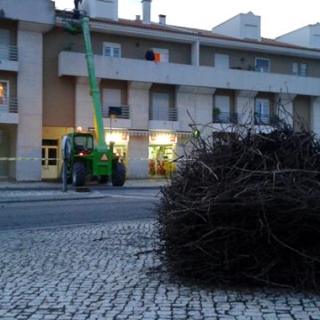 Ninho fecha esplanada (VIDEO)
