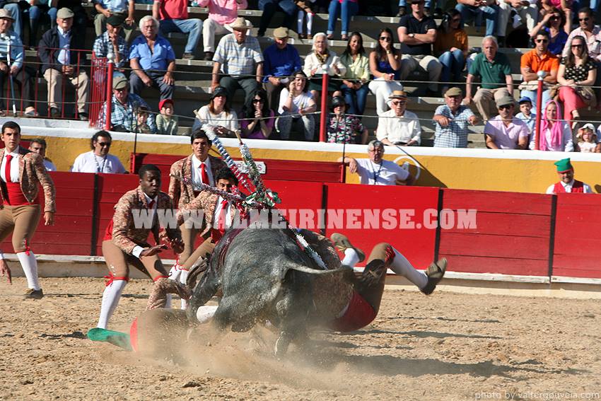 10251906_712953145409740_3151295215520505785_n 10251906_712953145409740_3151295215520505785_n