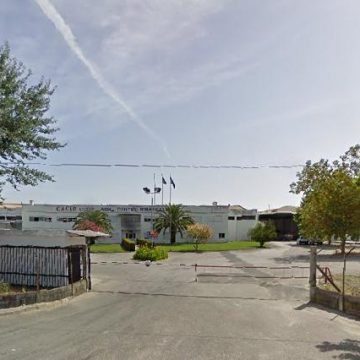 Empresários chineses investem milhares em Almeirim