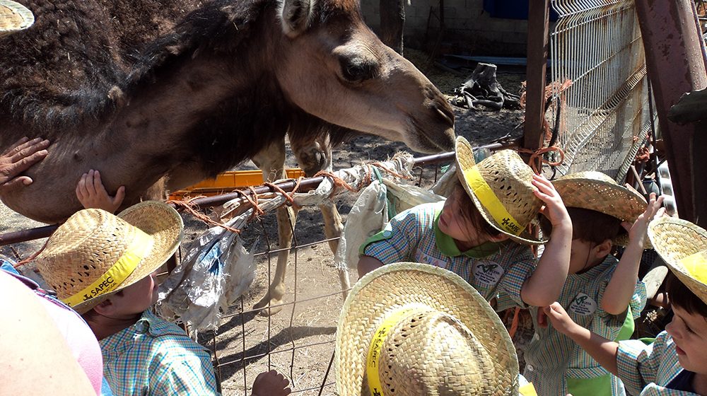 Uma manhã Diferente: Alunos do Paroquial foram “aprender com a natureza”.