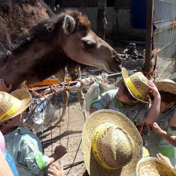 Uma manhã Diferente: Alunos do Paroquial foram “aprender com a natureza”.