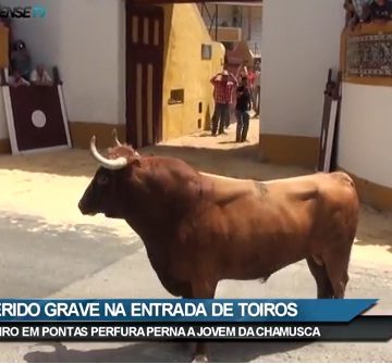 Ascensão: Ferido grave com perfuração na perna vai ser operado (VIDEO)