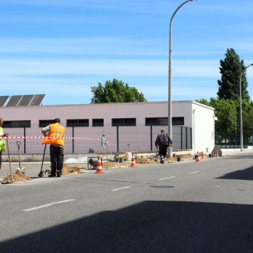 Arranca preparação para vacadas. Festa de 20 a 28 de junho Arranca preparação para vacadas. Festa de 20 a 28 de junho