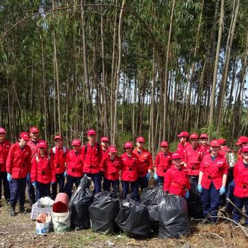 Jovens bombeiros em defesa da floresta