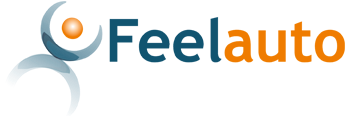 Feelauto PME LÍDER 2015 Feelauto PME LÍDER 2015