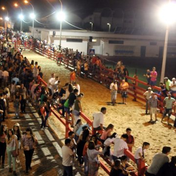 Vacadas de Almeirim fazem vítimas Vacadas de Almeirim fazem vítimas