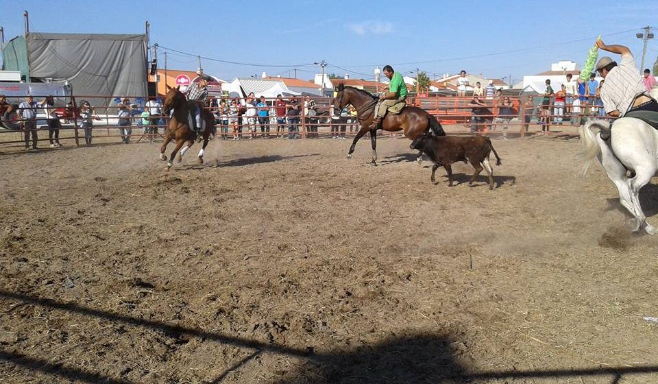 Benfica do Ribatejo pode ter novilhada em setembro
