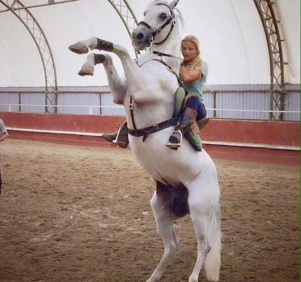 Mara Pimenta no Canadá