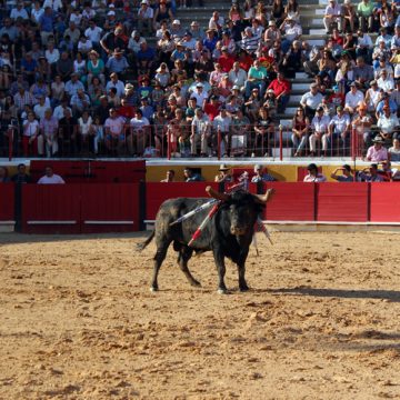 Fernando Salgueiro homenageado em Almeirim. Cartel de dia 12 fechado