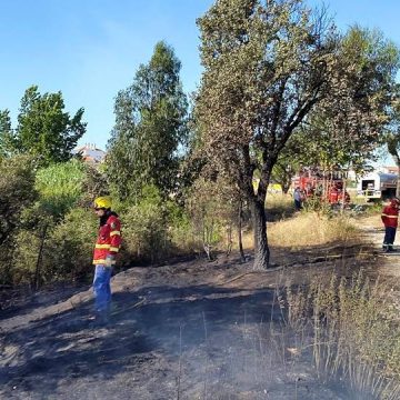 Bombeiros de Almeirim e Alpiarça combatem fogo junto a piscinas
