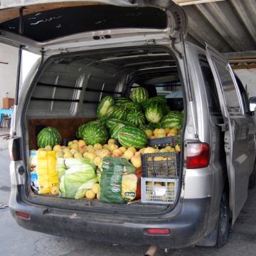 Apanhados a roubar mais de meia tonelada de fruta em Alpiarça