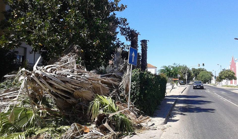 Alargamento da rua principal em Benfica