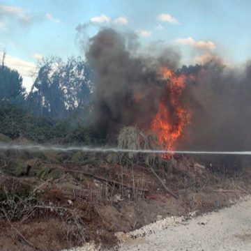 Incêndio na estrada Velha dos Paços (c/vídeo)