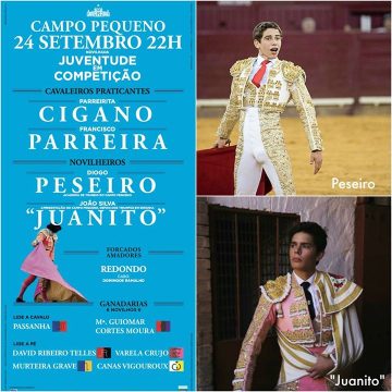 Novilheiro almeirinense atua no Campo Pequeno
