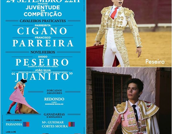 Novilheiro almeirinense atua no Campo Pequeno