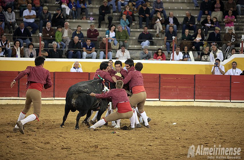 Forcados de Montemor triunfam na Corrida das Vindimas (VÍDEO e FOTOGALERIA)