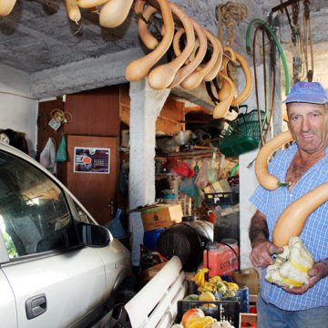 Agricultor de Almeirim produz abóboras estranhas (VIDEO)