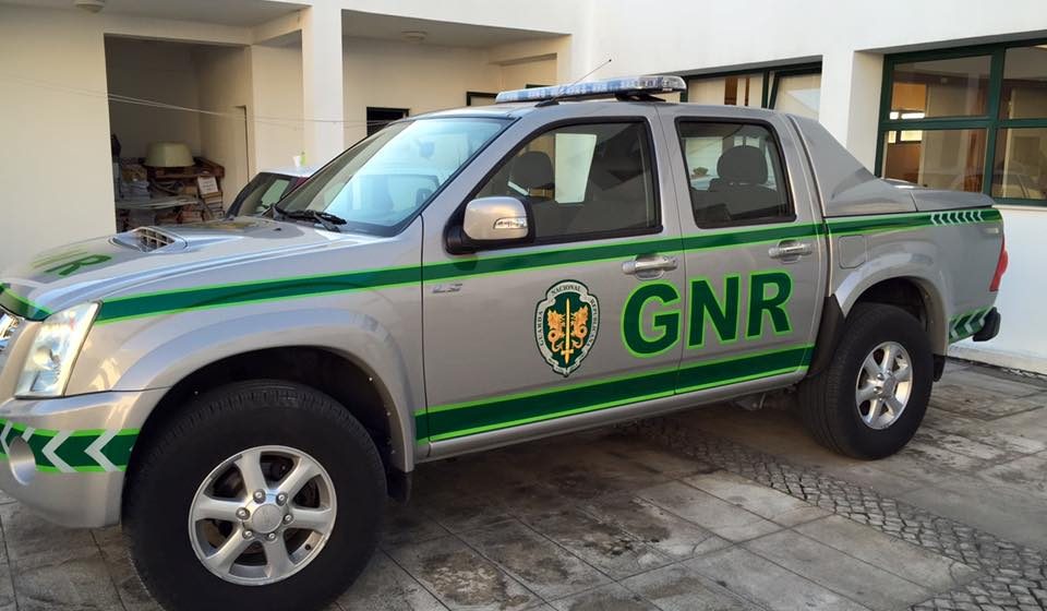 GNR apanha ladrões de pinhas